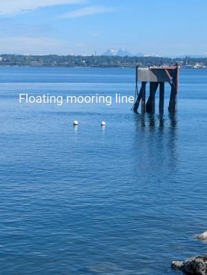 mp_mooringline.jpg